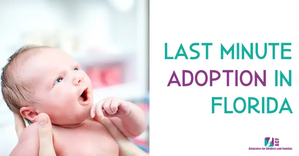Last Minute Adoption Florida