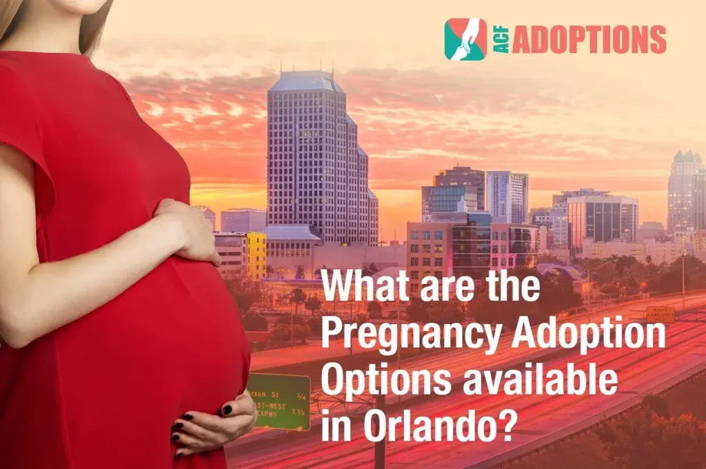 pregnancy-adoption-option