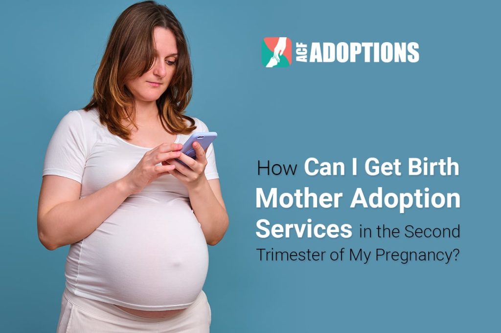 Birth Mother Adoption Services