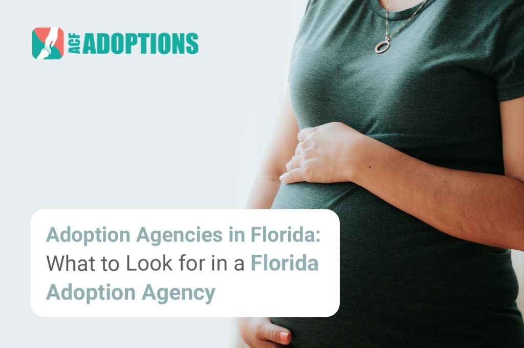 adoption agencies in Florida