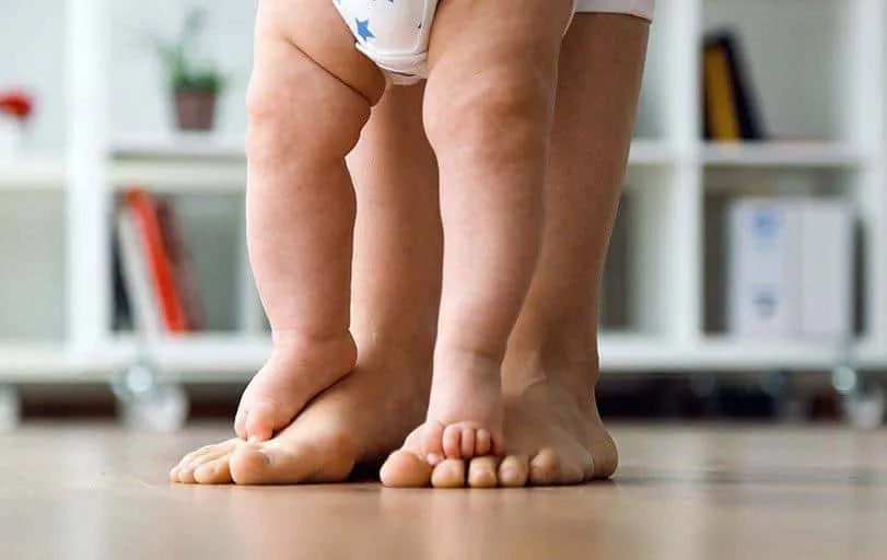 birth parent's rights