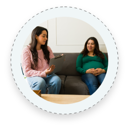 Meet with a Counselor